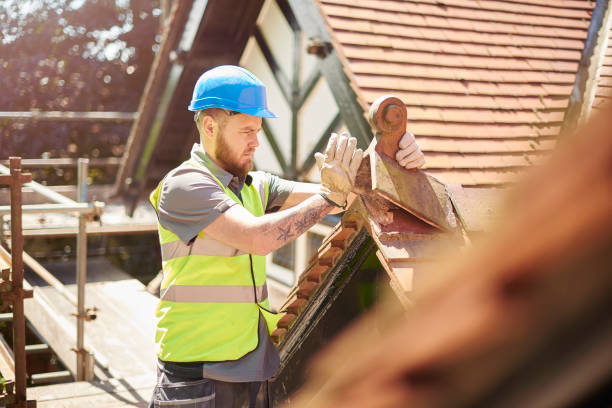 Best Flat Roof Repair Services  in Buena Vista, CO